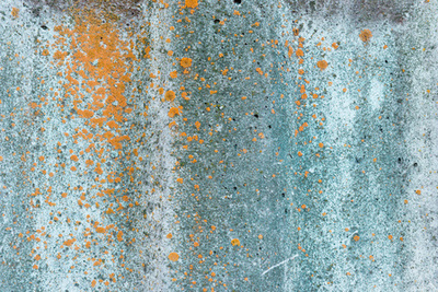 墻上的印記 摩擦與裂縫的哲學(xué)片段